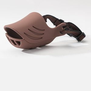 ឃ្លុំមាត់ម៉ូតទា