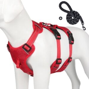 ឈុតអាវទ្រូង និងខ្សែដឹក