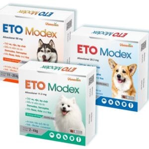 Eto Modex