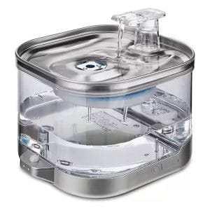 ចានទឹកបាញ់